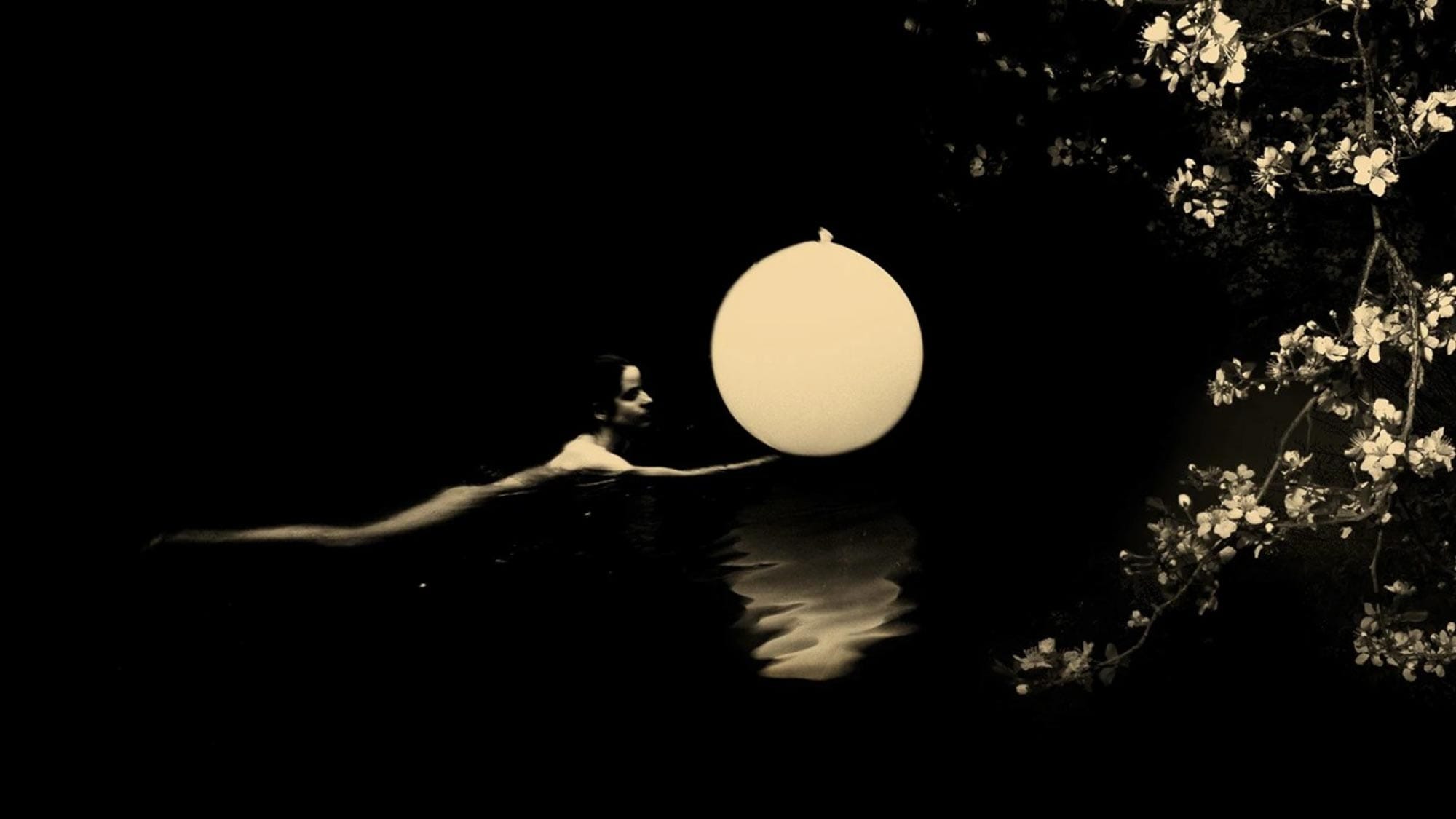 image from Paul Cupido, photographe de l’impermanence