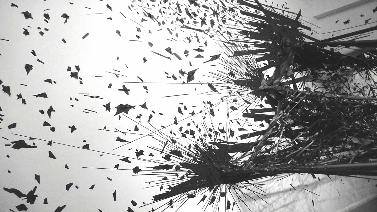 image from Monika Grzymala déssiner en trois dimensions