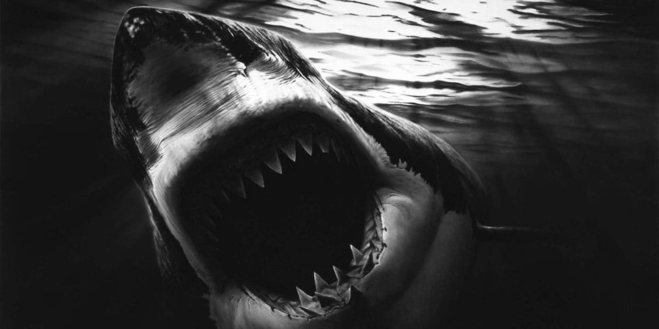 image from Robert Longo ombre et lumière