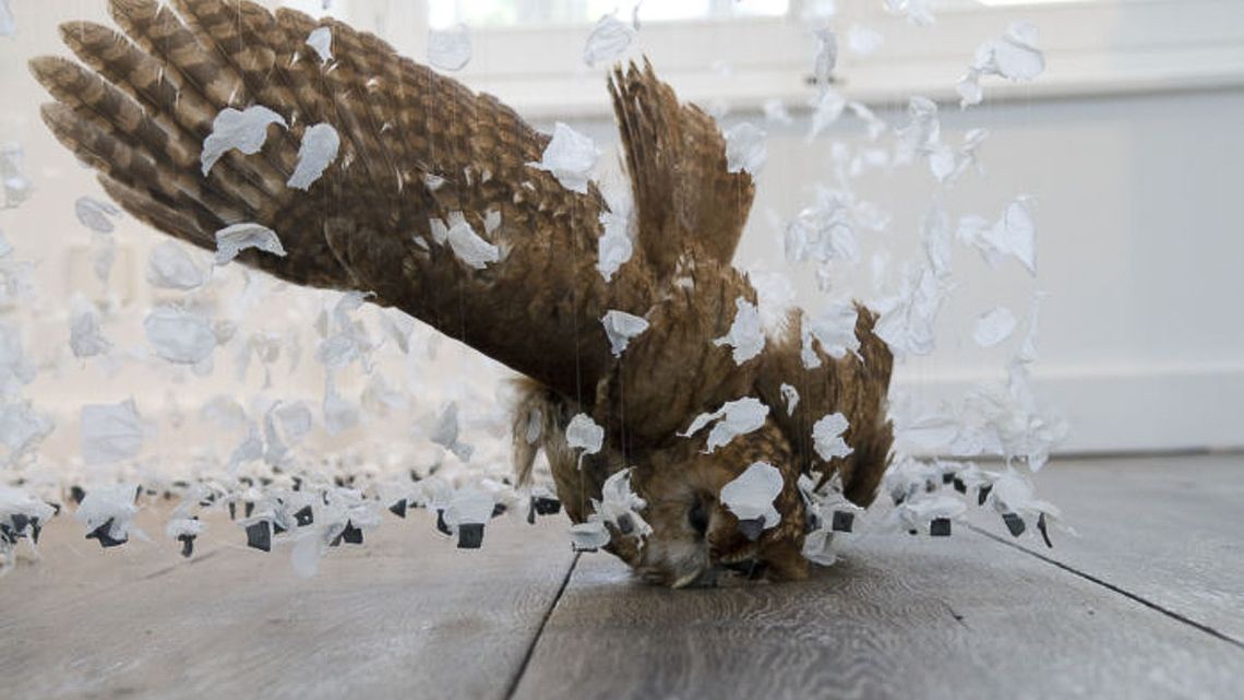 image from Claire Morgan la sculpture en resille
