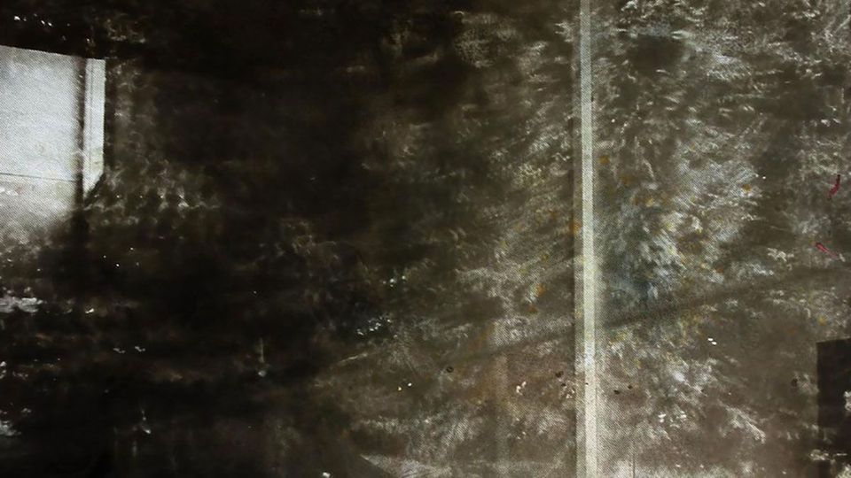 image from Eva Nielsen la surface du réel