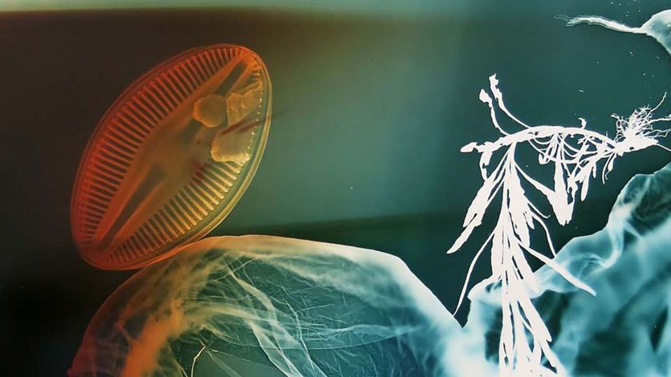 image from Baptiste Rabichon le geste et la photographie