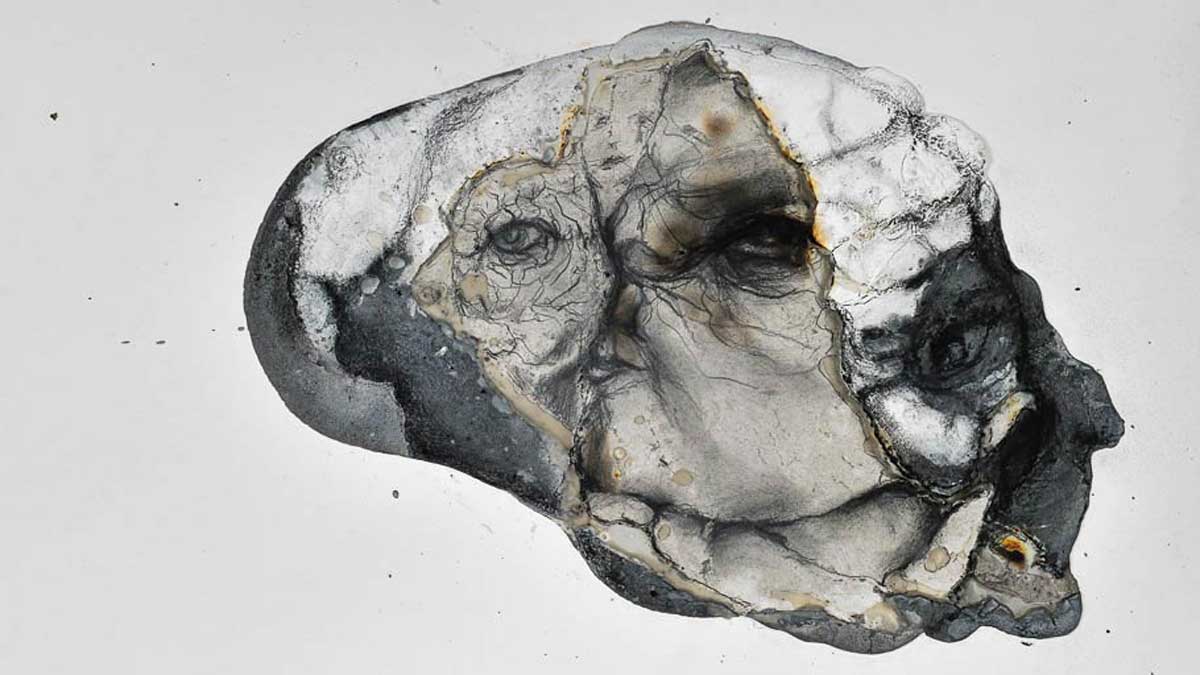 image from Lionel Sabatté poussière et territoires