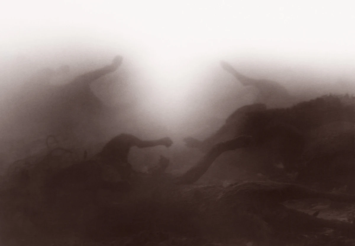 Desiree Dolron, Exaltation