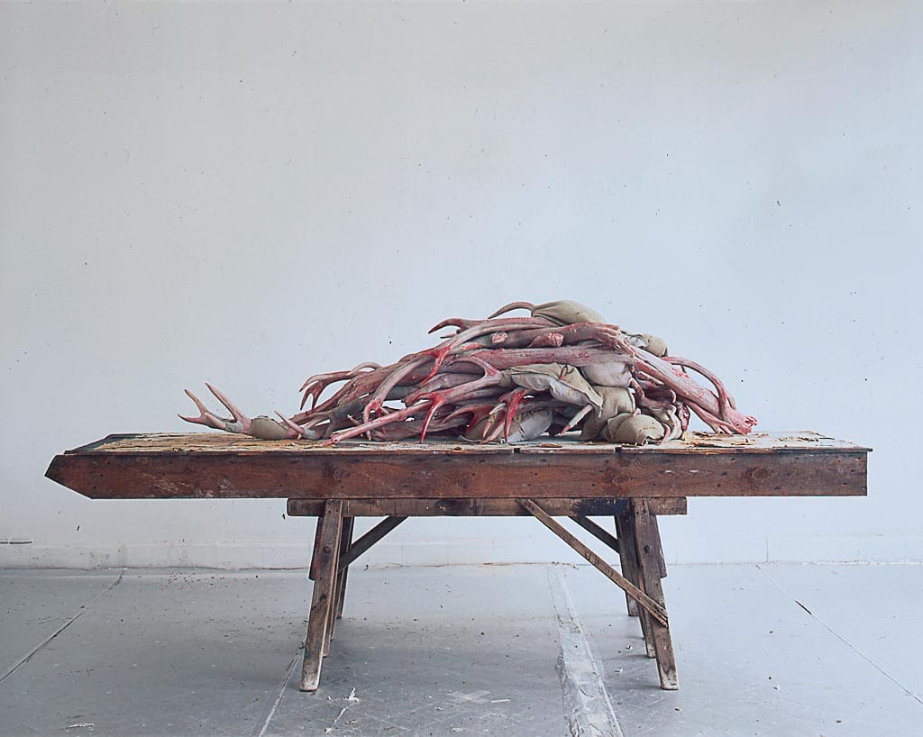 Berlinde de Bruyckere