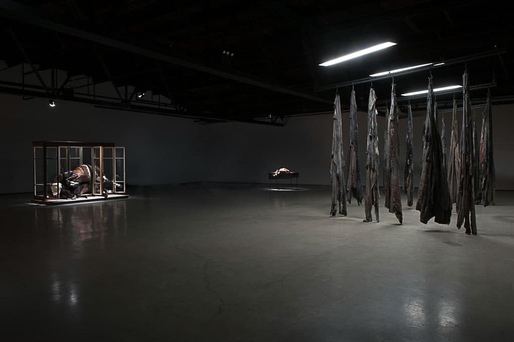 Berlinde de Bruyckere