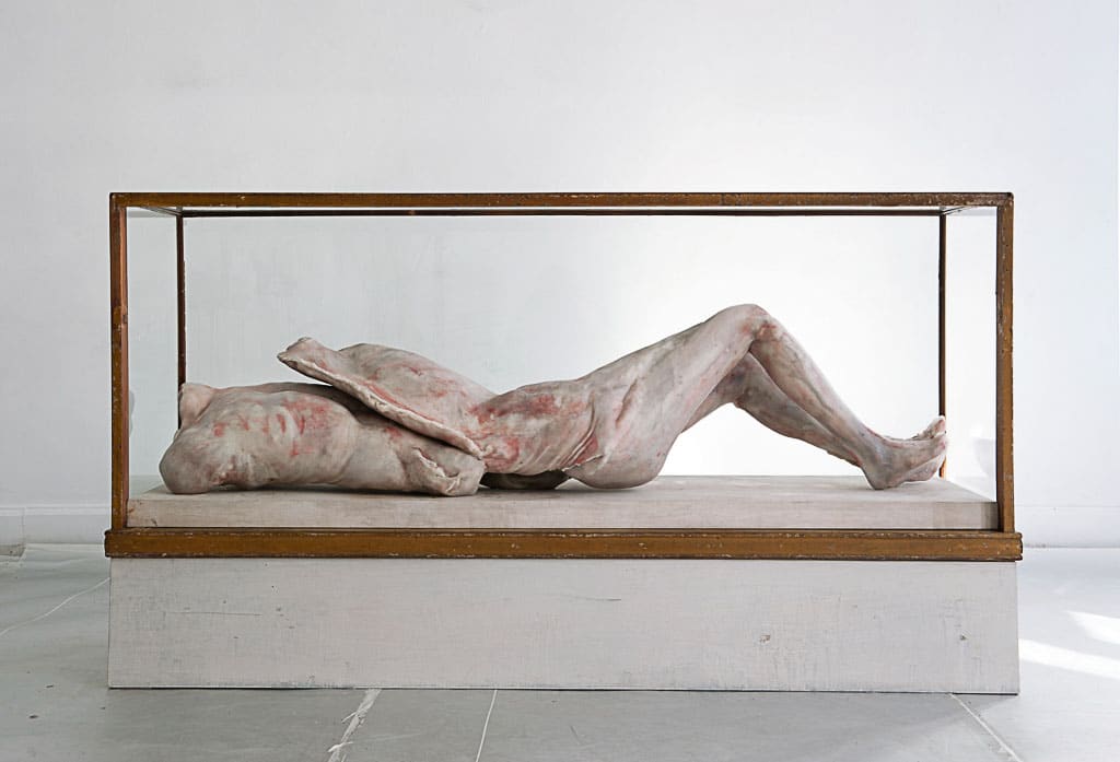 Berlinde de Bruyckere